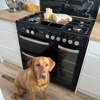 Winter Warmers: Choosing The Right Range Cooker For The Season